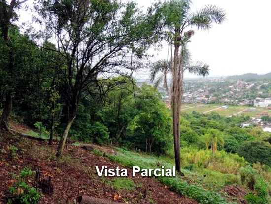 Terreno em Parobé, RS — foto 2 de 5