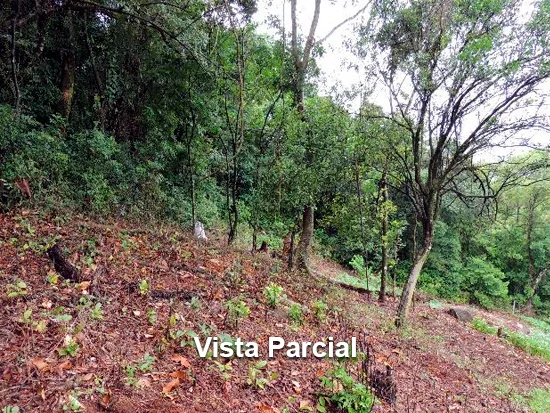 Terreno em Parobé, RS — foto 4 de 5