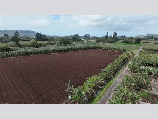 Terreno em Osório, RS — foto 4 de 8