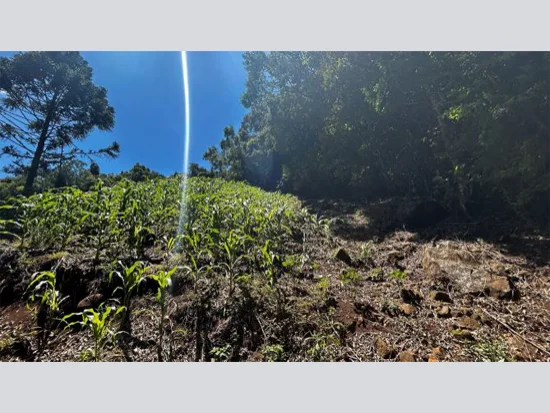 Terreno em Riozinho, RS — foto 7 de 8