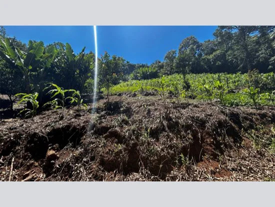 Terreno em Riozinho, RS — foto 4 de 8