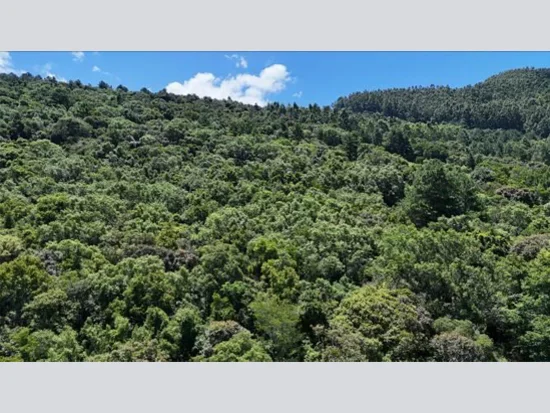 Terreno em Riozinho, RS — foto 2 de 8
