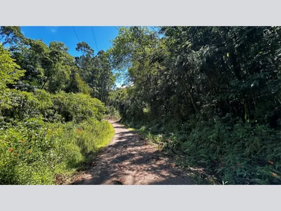 Terreno em Riozinho, RS — foto 6 de 8
