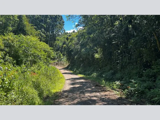 Terreno em Riozinho, RS — foto 8 de 8