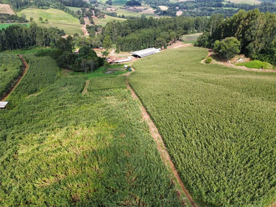 Terreno em Jaborá, SC — foto 5 de 8