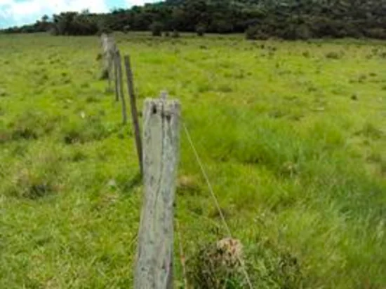 Terreno em São Vicente do Sul, RS — foto 8 de 8