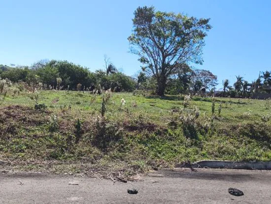 Imóvel em Pérola, PR — foto 6 de 8