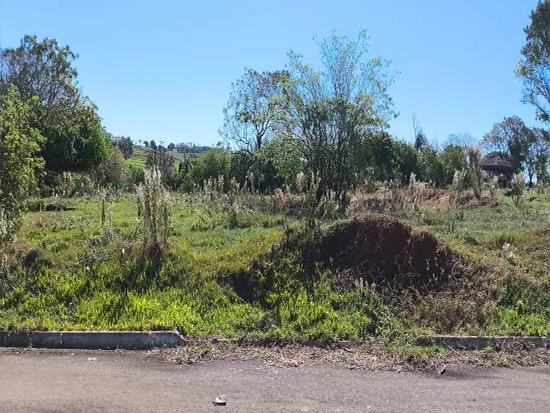 Imóvel em Pérola, PR — foto 5 de 8
