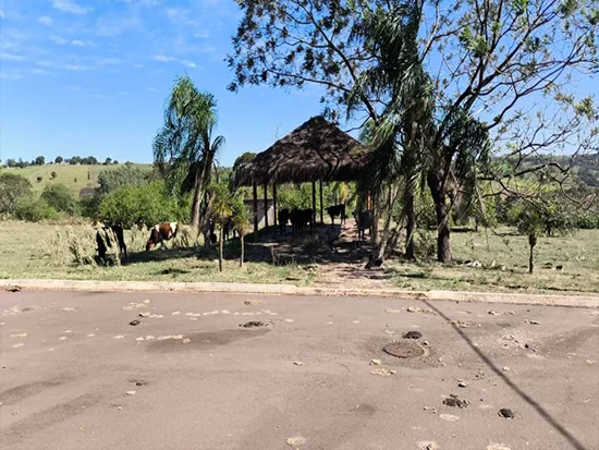 Imóvel em Pérola, PR — foto 4 de 8