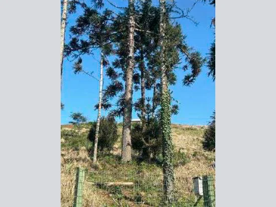 Terreno em Aratiba, RS — foto 2 de 3
