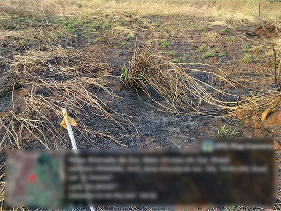 Terreno em Nova Alvorada do Sul, MS — foto 3 de 4