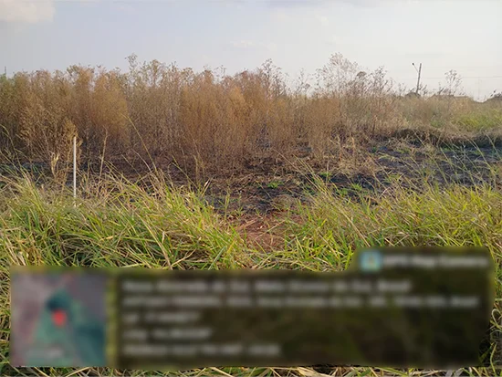 Terreno em Nova Alvorada do Sul, MS — foto 3 de 4