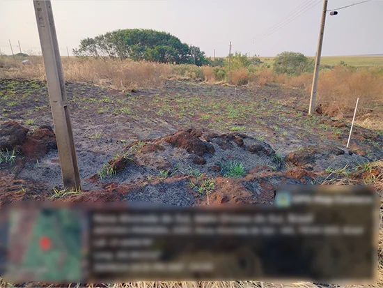 Terreno em Nova Alvorada do Sul, MS — foto 4 de 4
