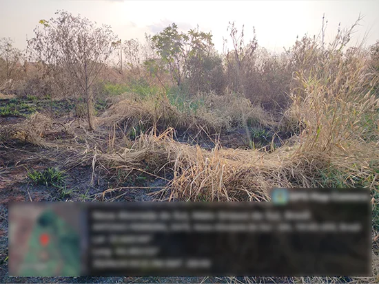 Terreno em Nova Alvorada do Sul, MS — foto 3 de 5