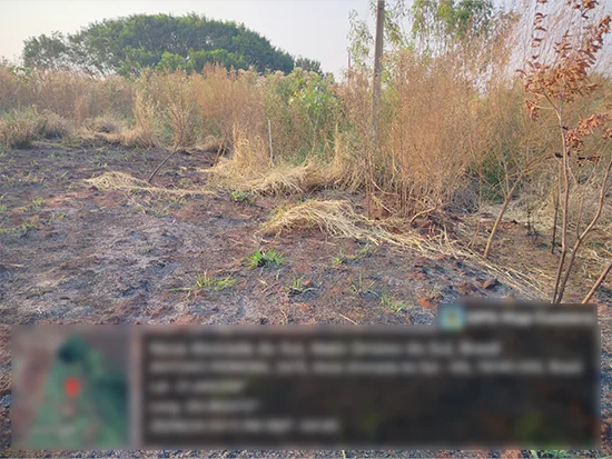 Terreno em Nova Alvorada do Sul, MS