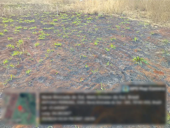 Terreno em Nova Alvorada do Sul, MS
