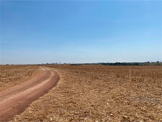 Terreno em Nova Guarita, MT — foto 5 de 8