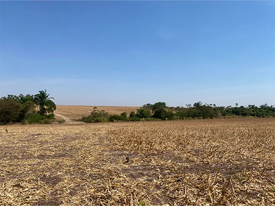 Terreno em Nova Guarita, MT — foto 2 de 8