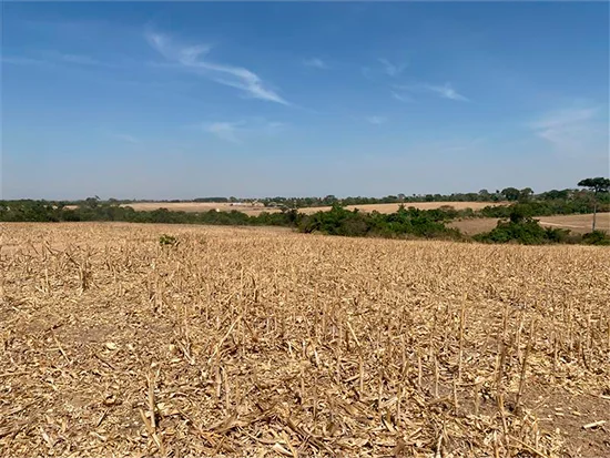Terreno em Nova Guarita, MT — foto 4 de 8