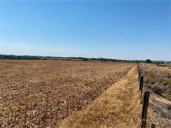 Terreno em Nova Guarita, MT — foto 6 de 8