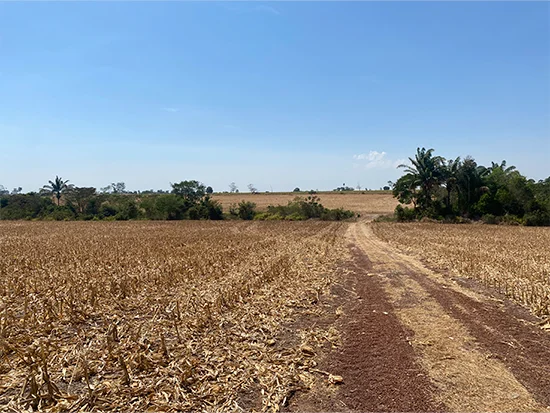 Terreno em Nova Guarita, MT — foto 7 de 8