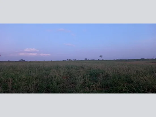 Terreno em Itupiranga, PA — foto 6 de 6