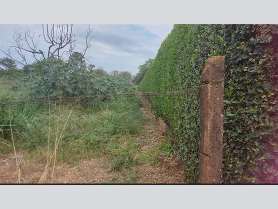 Terreno em Ribeirão Preto, SP — foto 4 de 5