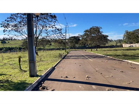 Imóvel em Pérola, PR — foto 8 de 8