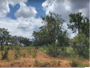 Terreno em Caetanópolis, MG