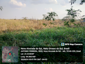 Terreno em Nova Alvorada do Sul, MS