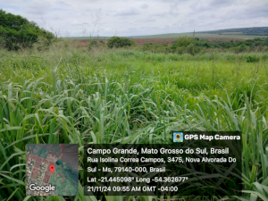 Terreno em Nova Alvorada do Sul, MS
