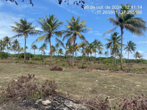 Terreno em Itaporanga D'ajuda, SE