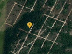 Terreno em Salinas da Margarida, BA