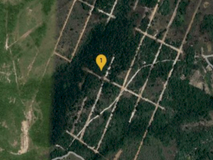 Terreno em Salinas da Margarida, BA