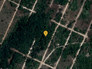 Terreno em Salinas da Margarida, BA