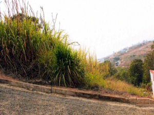 Terreno em Juruaia, MG