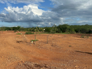 Terreno em Carnaíba, PE