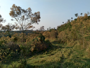 Chacara Sitio em Carmo de Minas, MG
