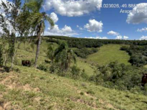 Terreno em Arapoti, PR