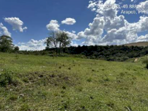 Terreno em Arapoti, PR