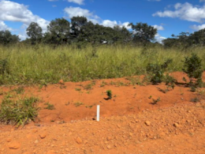 Terreno em Lagoa Santa, MG