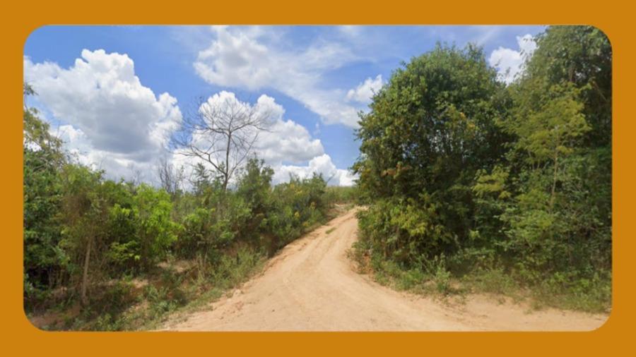 Imóvel Rural Denominado Fazenda Alvorada, - em Encruzilhada, BA