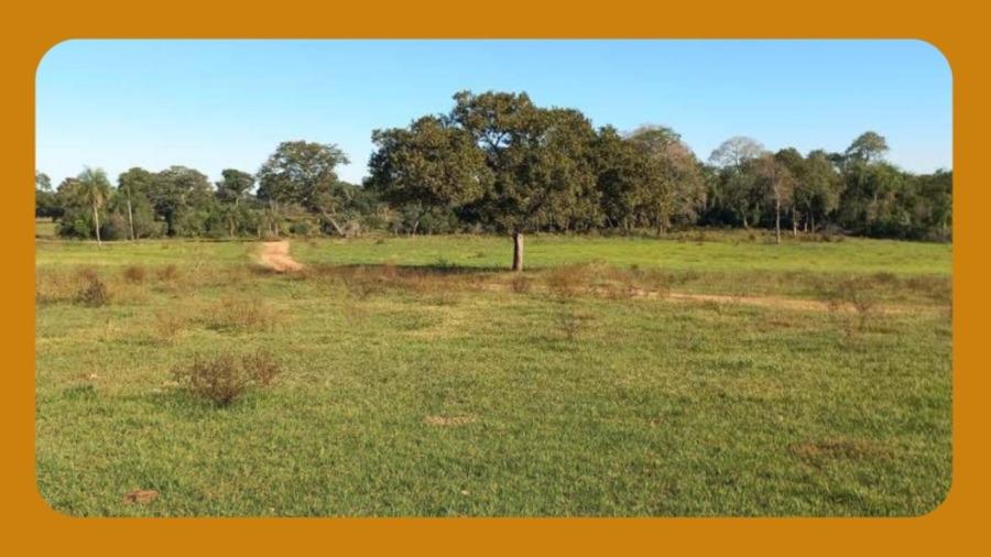 70ha de Terras Pastais e Lavradias, Centro em Caracol, MS