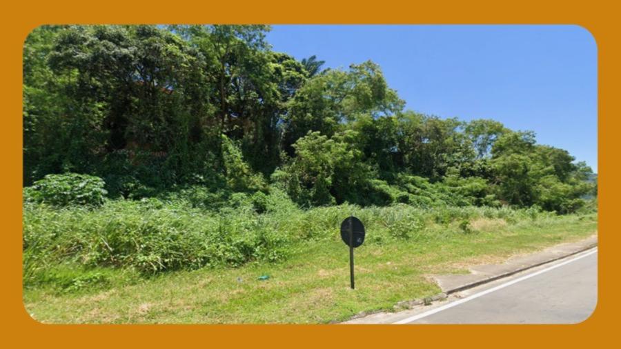 Terreno Medindo 6.0 Hactares, - em Mamanguape, PB