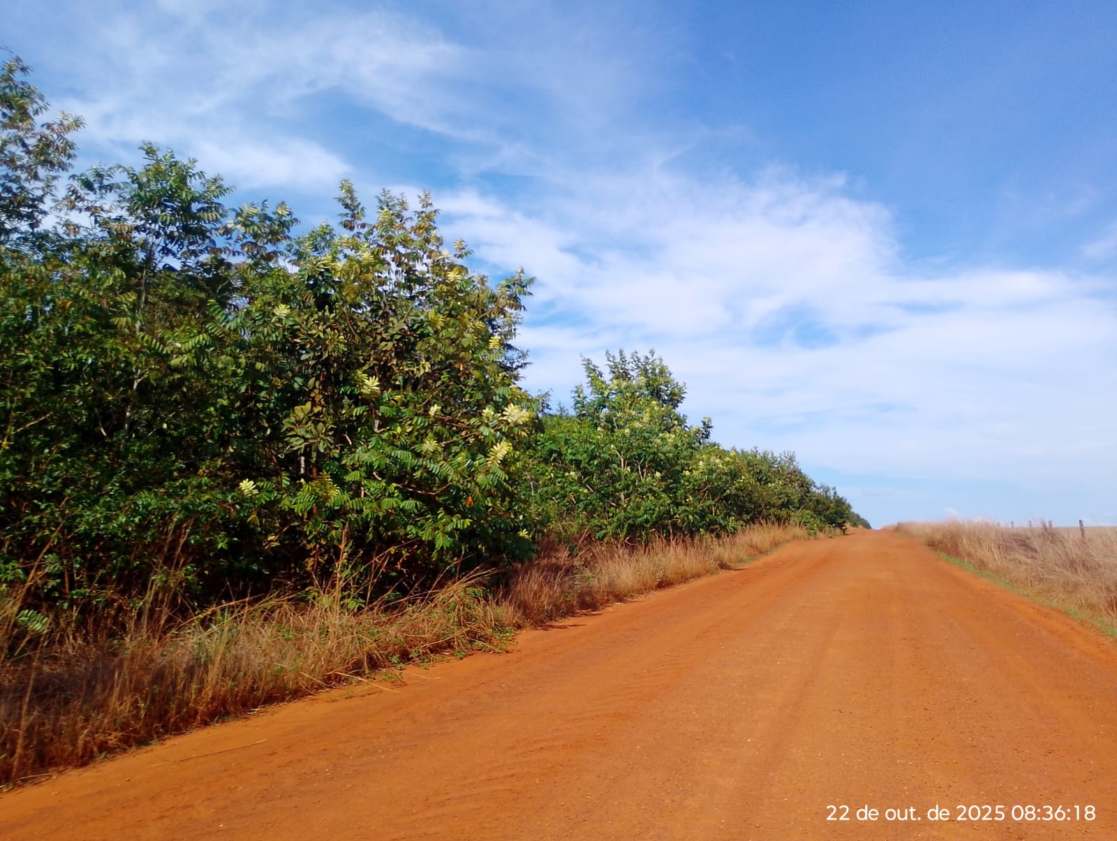 Rural em Campo Novo do Parecis, MT — foto 2 de 4