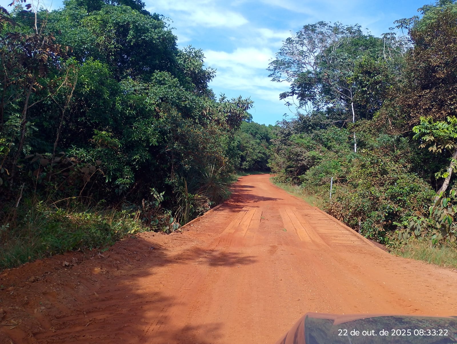 Rural em Campo Novo do Parecis, MT — foto 3 de 4