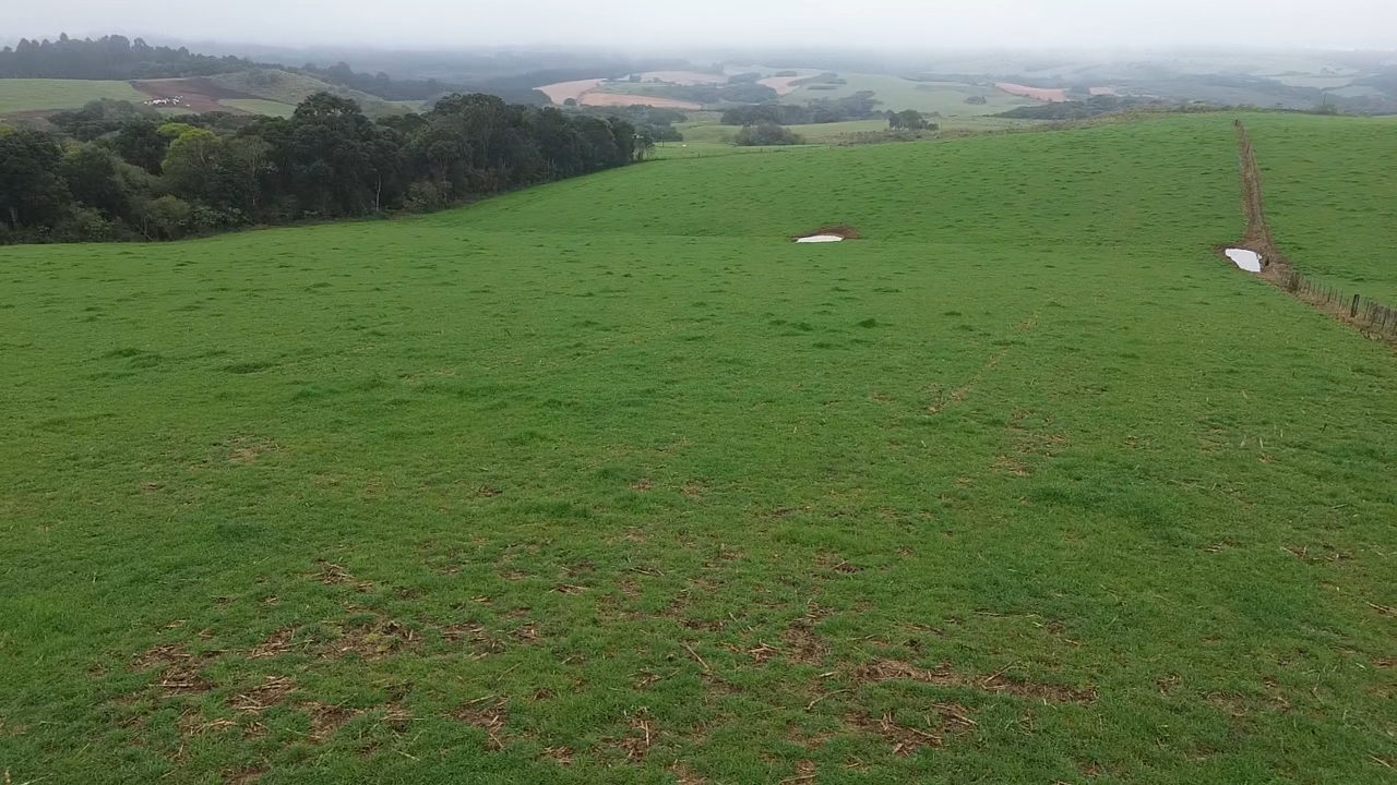 Rural em Campos Novos, SC — foto 4 de 4