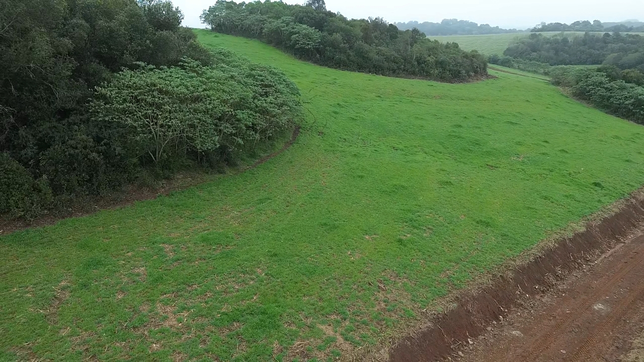 Rural em Campos Novos, SC — foto 3 de 4