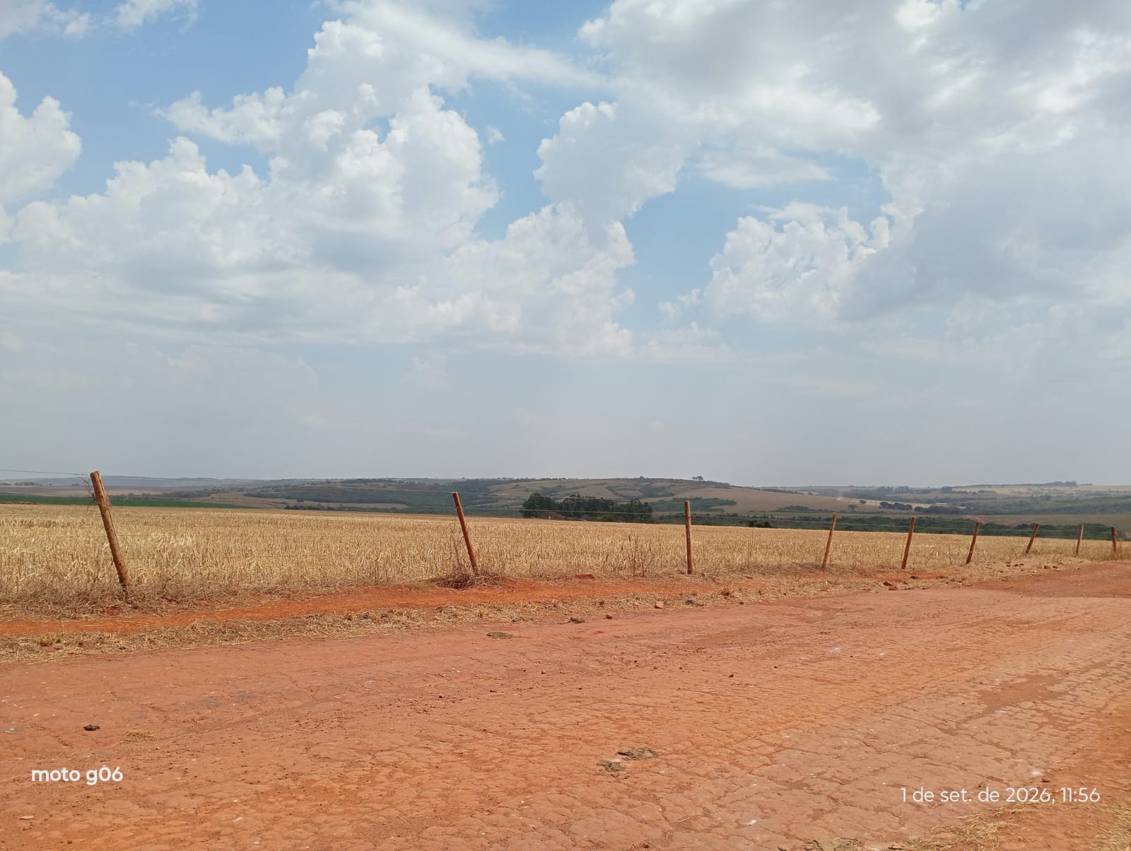 Rural em Ipameri, GO — foto 4 de 4