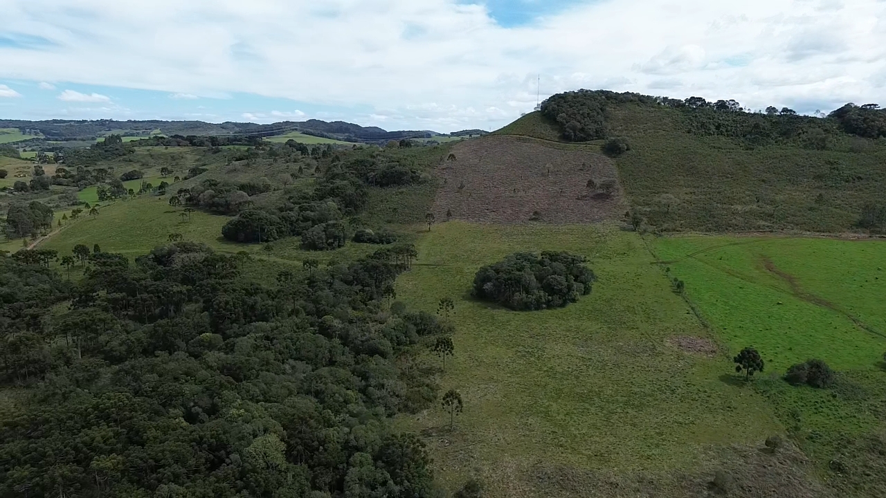 Rural em Campo Belo do Sul, SC — foto 3 de 4